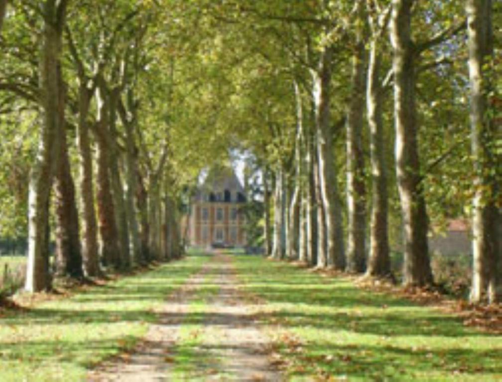 Chateau De Villars Villeneuve-sur-Allier Екстер'єр фото